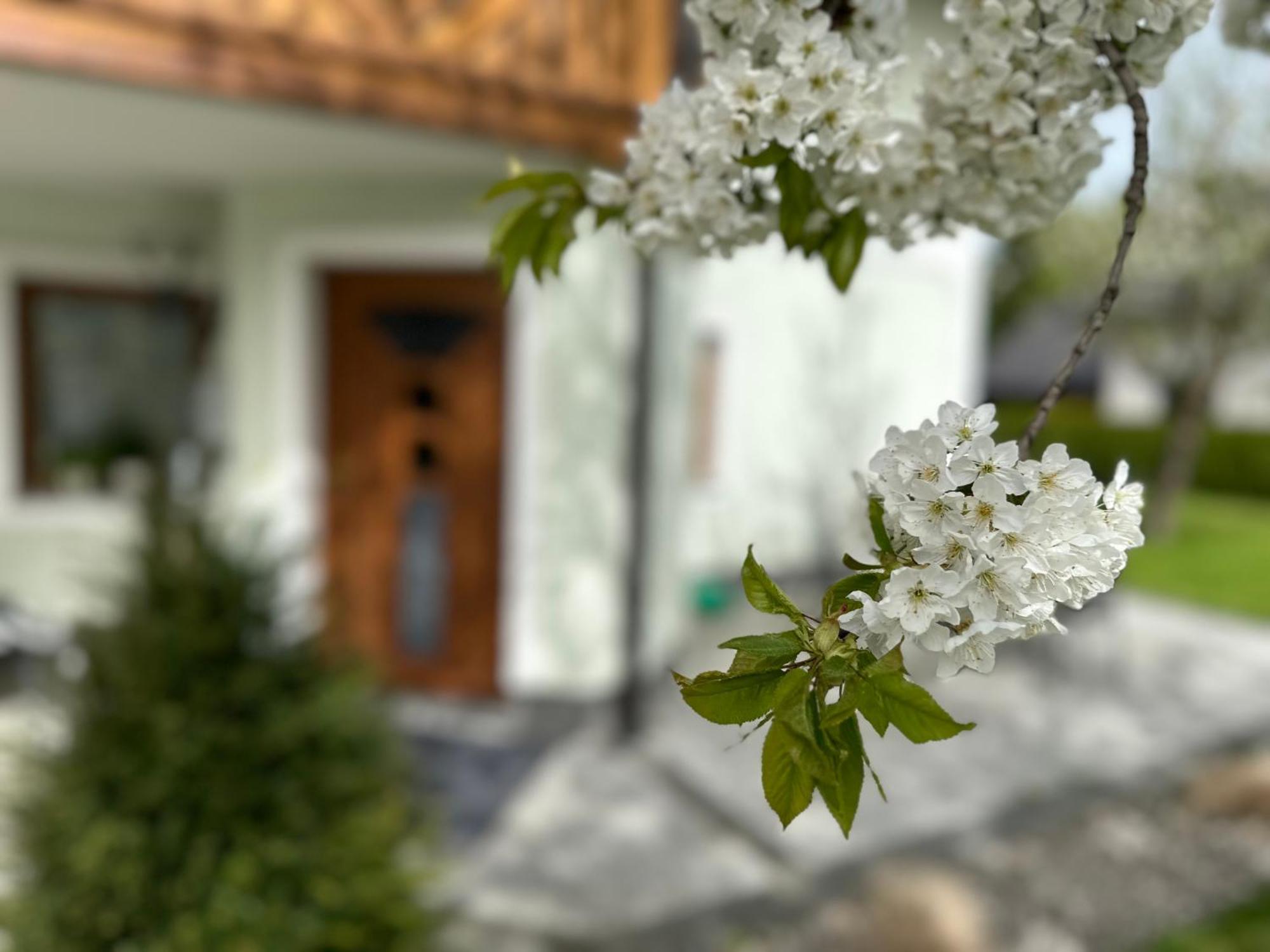 Romantic Chalet - Alpine Getaway Salzkammergut Viechtwang Exterior photo